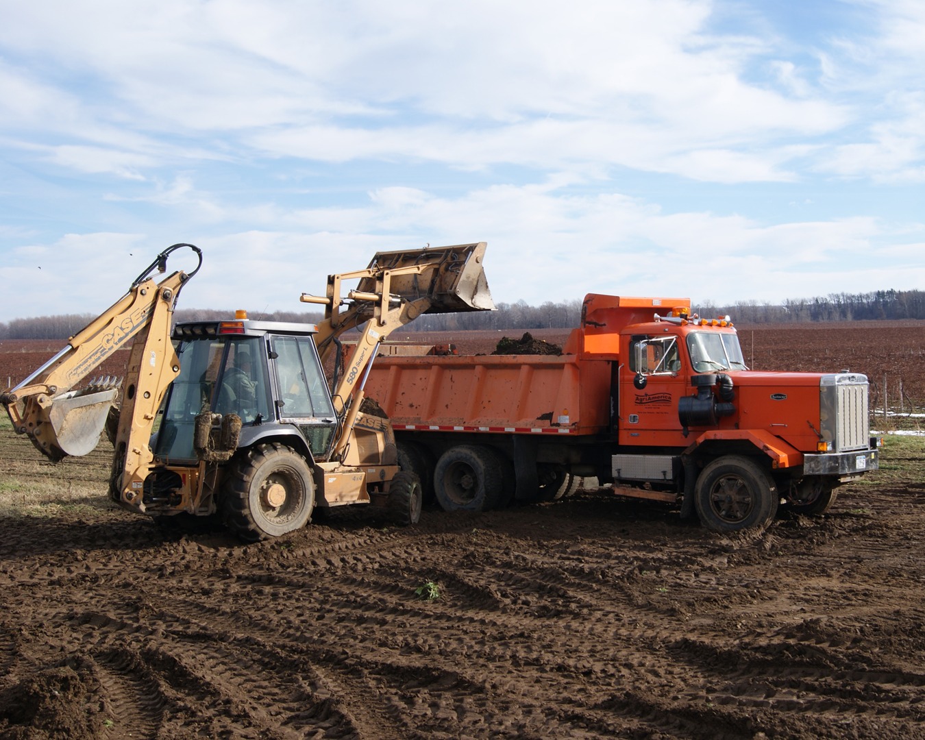 Site Clearing Dumpster Services-Colorado Dumpster Services of Fort Collins