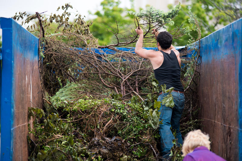 Tree Removal Dumpster Services-Colorado Dumpster Services of Fort Collins